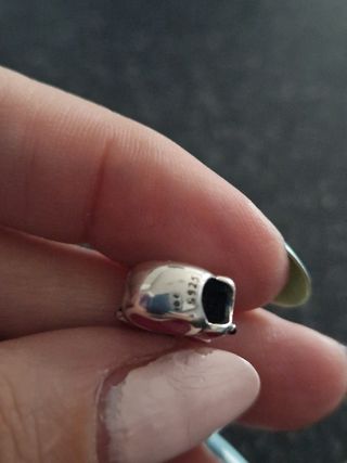 Charm plata huella perro que cambia de color con e