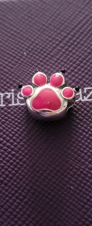 Charm plata huella perro que cambia de color con e