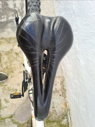 Bicicleta Mujer MTB Ghost Lanao Talla S Ruedas 29"