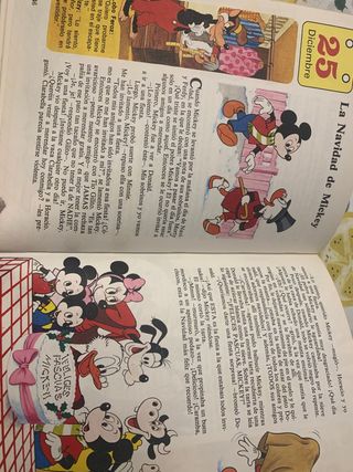 Libro un Cuento cada dia