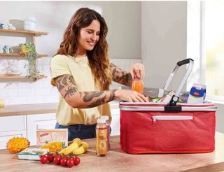 Cesta Nevera Termica