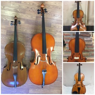 Noleggio: violini, viole, violoncelli, contrabbasso