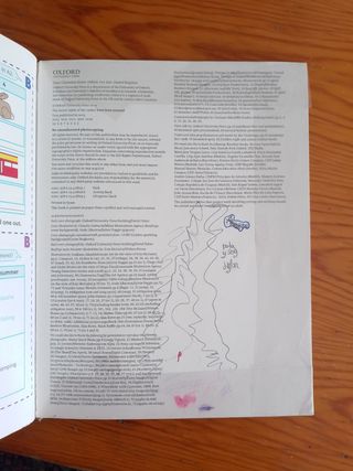 Amazing rooftops activity book 5