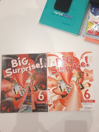 Libros big surprise 6