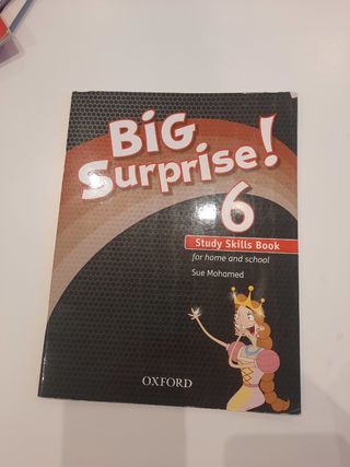 Libros big surprise 6