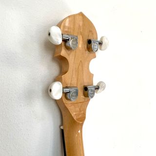 Banjo Gold Tone CC-100R 5 cuerdas caja resonancia