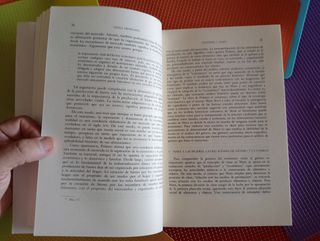 Teoría feminista y teoría crítica.