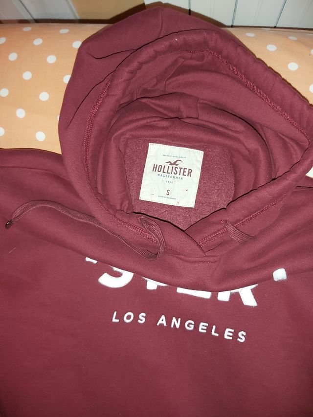 Felpa Hollister