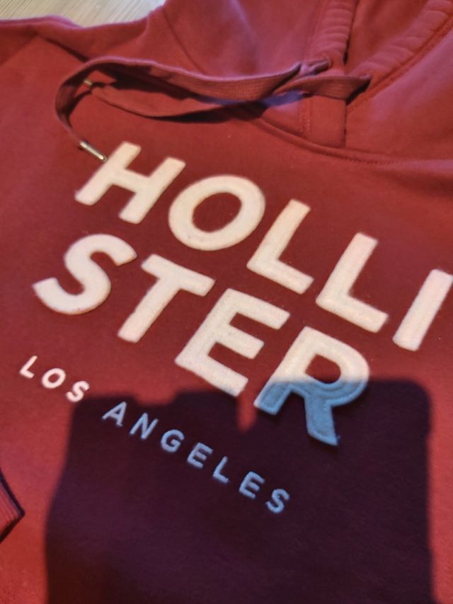 Felpa Hollister