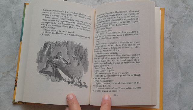 Libro "Danny il campione del mondo"