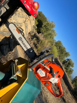 motosierra profesional en alquiler