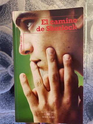 El camino de Sherlock