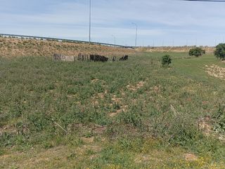 Terreno rústico junto a m100 y entrada a la R2.