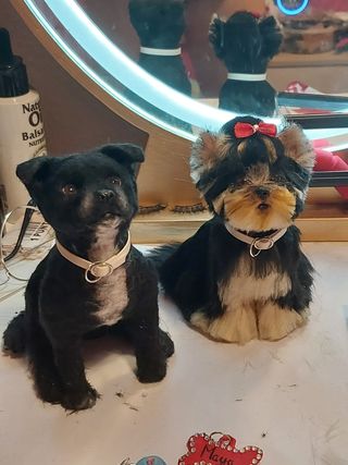 Mascota personalizada