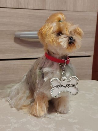 Mascota personalizada