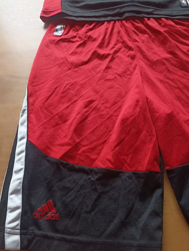 NBA Chicago Bulls Derrick Rose