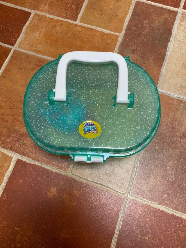 little live pets tortuga