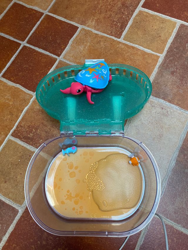 little live pets tortuga