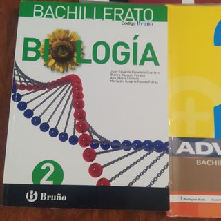 Lote libros de bachillerato