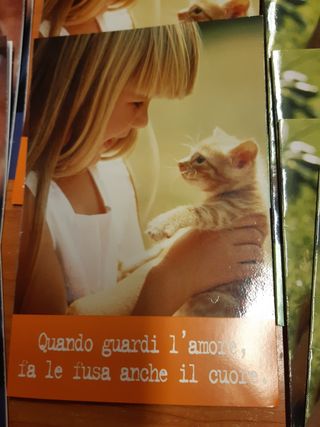 Set 13 Biglietti di compleanno con bambina e gatti