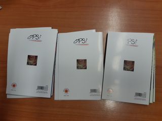 Set 13 Biglietti di compleanno con bambina e gatti