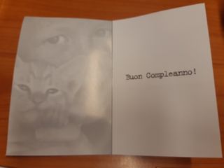 Set 13 Biglietti di compleanno con bambina e gatti