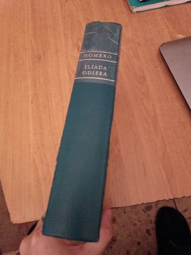 La Ilíada de Homero 1971