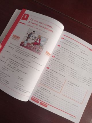 Grammaire Progressive Du Francaįs