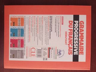 Grammaire Progressive Du Francaįs