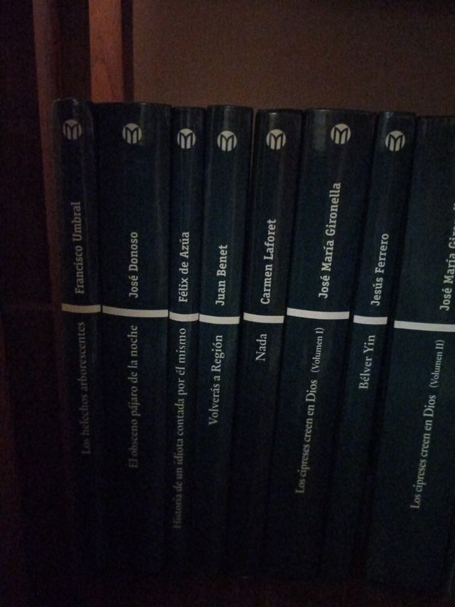 Novela contemporánea