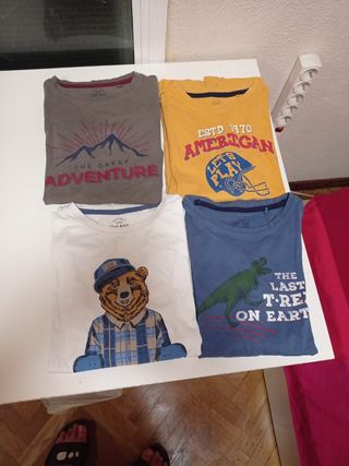 Lote camisetas y camisa