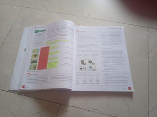 Lengua castellana y Literatura 3ESO