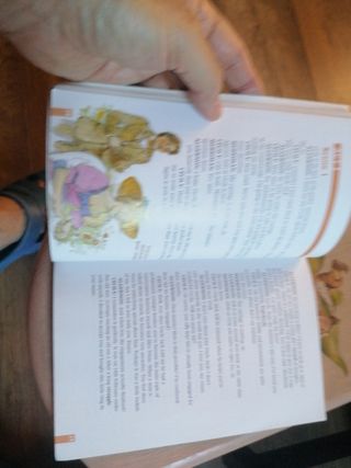 LIBRO THE IMPORTANCE OF BEING EARNEST