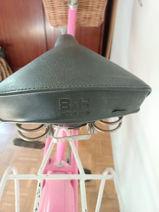 Bicleta antigua BH