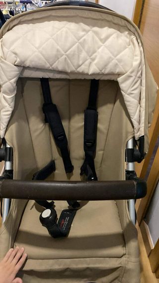 Bugaboo camaleón 3 edición especial.