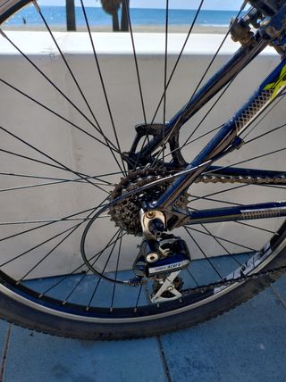 Bicicleta Conor Adulto