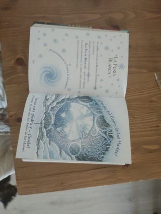LIBRO GERÓNIMO STILTON