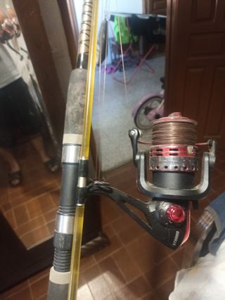 Caña de pesca 