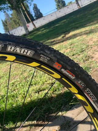 bicicleta de carbono 29”