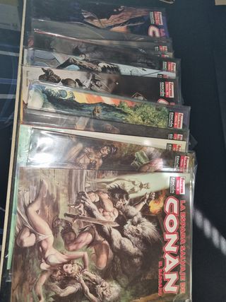 La Espada Salvaje de Conan