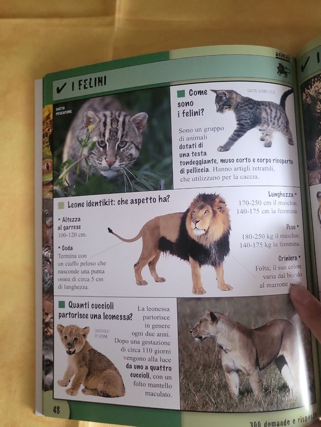 Libro per bambini Animali 
