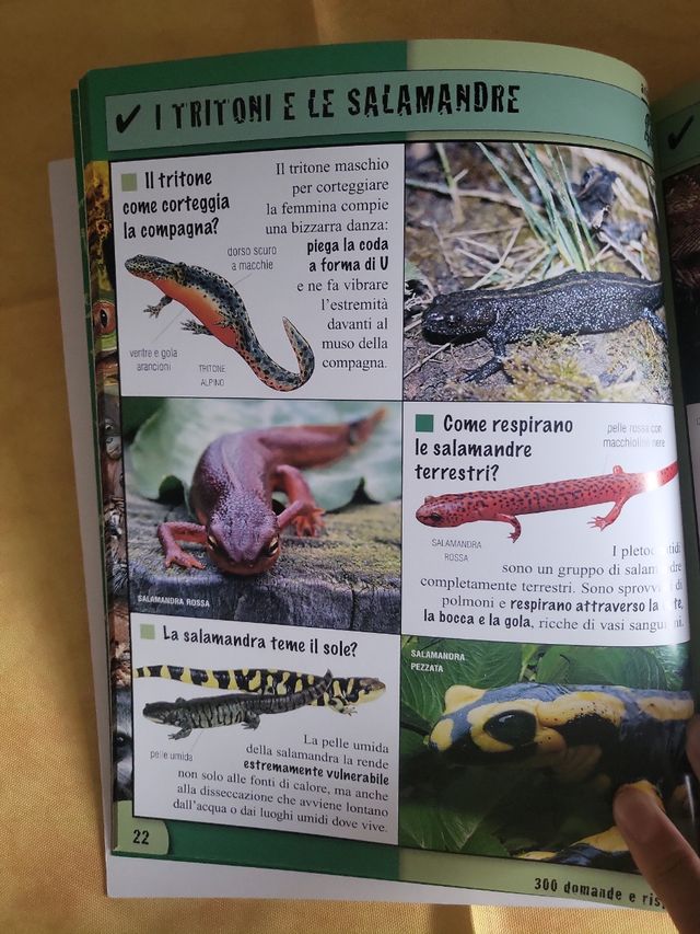 Libro per bambini Animali 