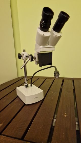 Microscopio metallo 10x - 20x