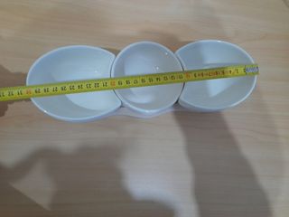 Portasalatini Brandani