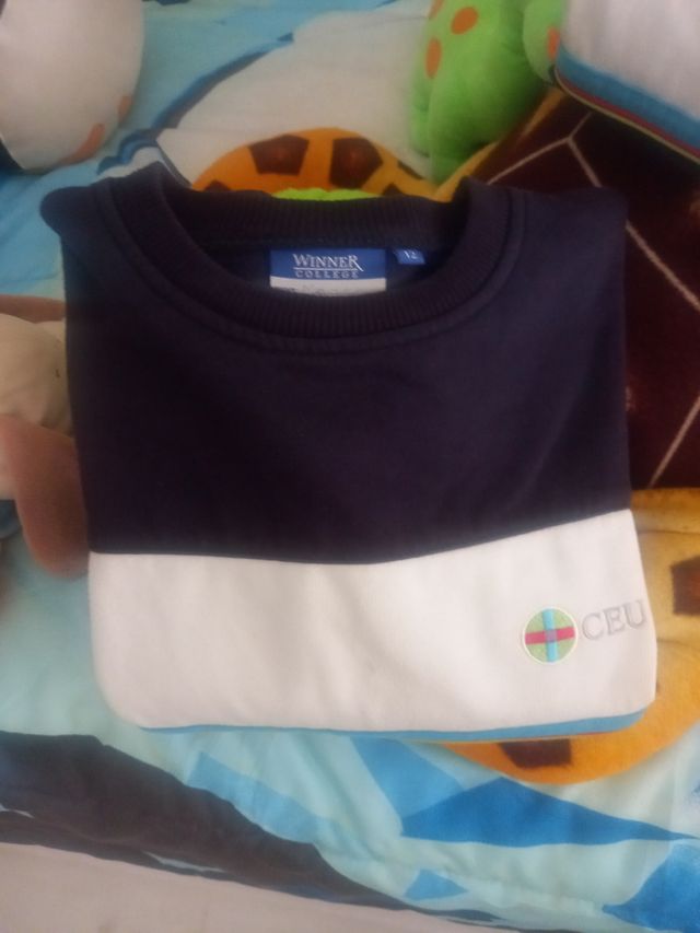 Lote de sudaderas CEU San Pablo