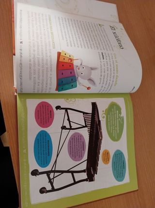 Libro musica maestro