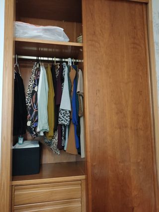 Organizadora Profesional