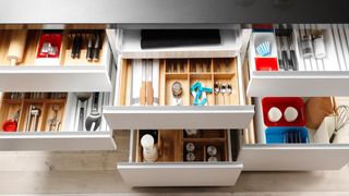 Organizadora Profesional