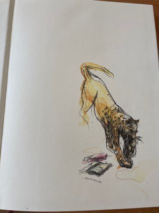 La Pantera Negra de Sivanipalli