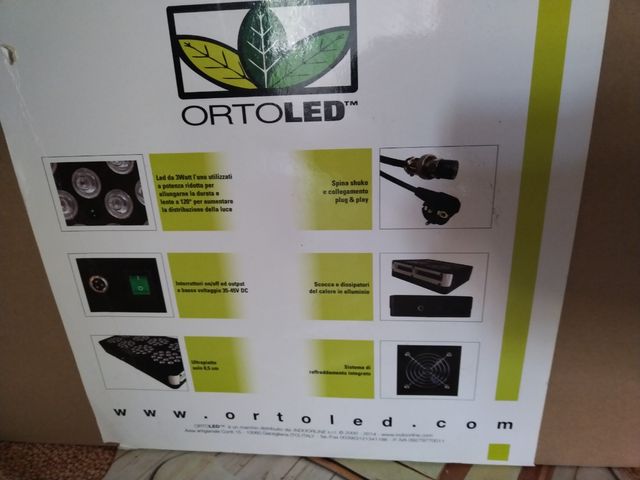 led orto